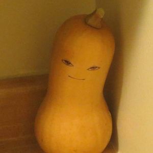 Meet your Posher, Joy